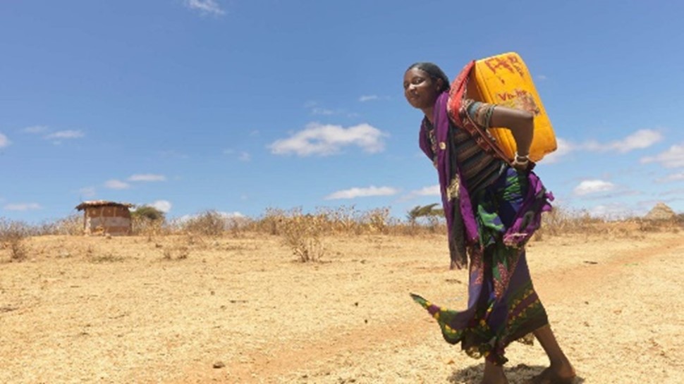 Giornata mondiale contro la desertificazione e la siccità