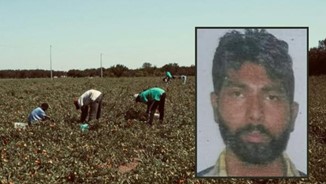 Satnam Singh neo martire della nostra disumanità. Morto da schiavo in un campo di pomodori: proprietari avidi, caporali crudeli, istituzioni “distratte”, cittadinanza indifferente, assuefazione alla violenza